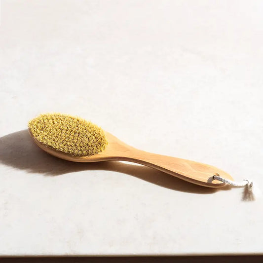 Long Handle Dry Brush