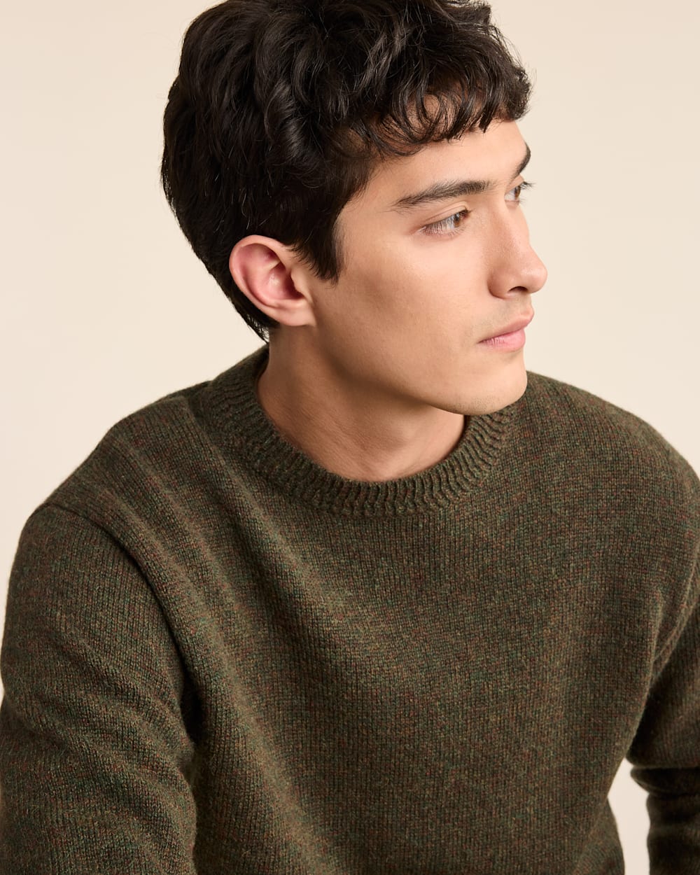 Wool Crew Sweater