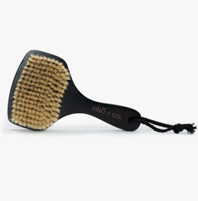 Dry Body Brush (Fan Shaped) - Boar Bristles