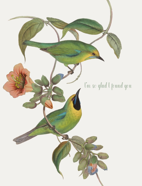 I'm So Glad I Found You Greeting Card