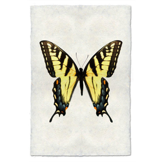 Butterfly #3 Print