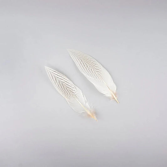 Silver Pheasant Feather