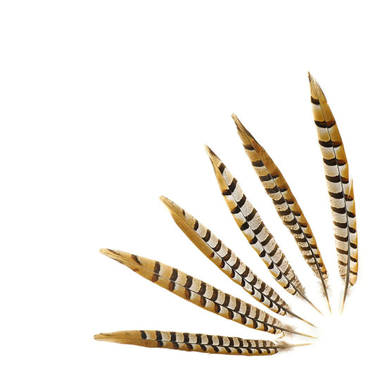 Venery Pheasant Feather