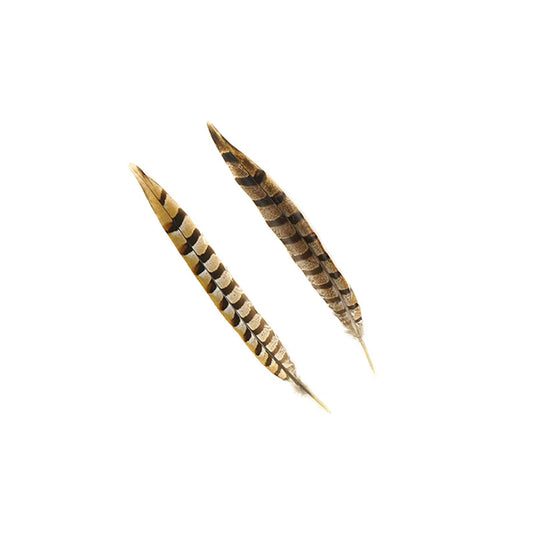 Venery Pheasant Feather