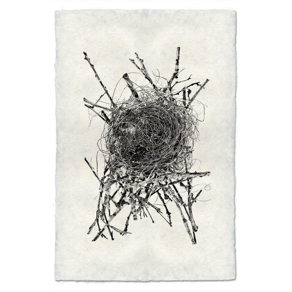 Nest Study #15 Print