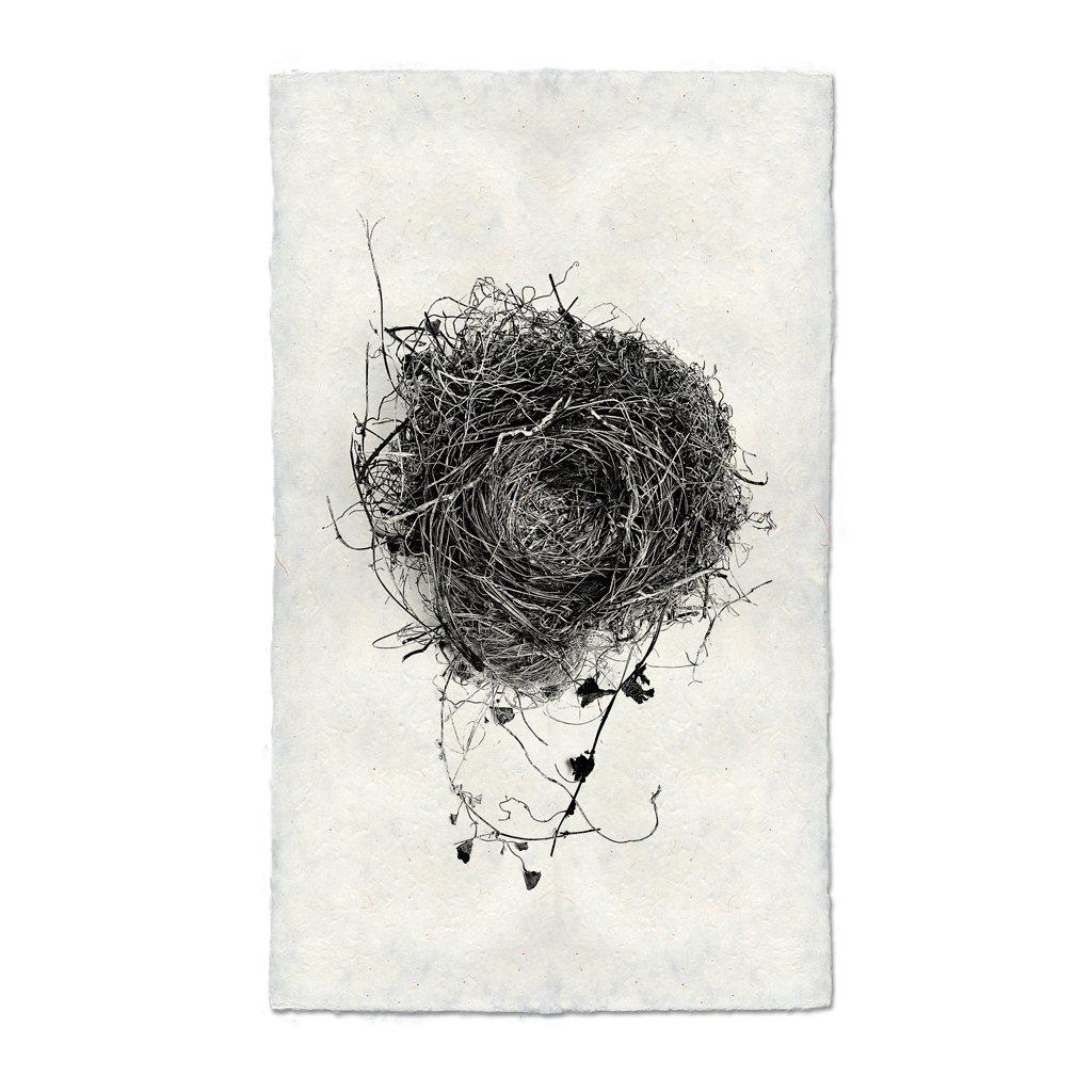 Nest Study #3 Print