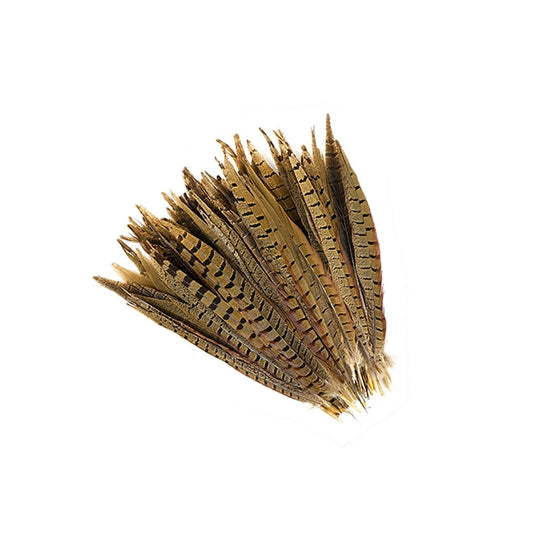 10" - 12" Ringneck Pheasant Tails